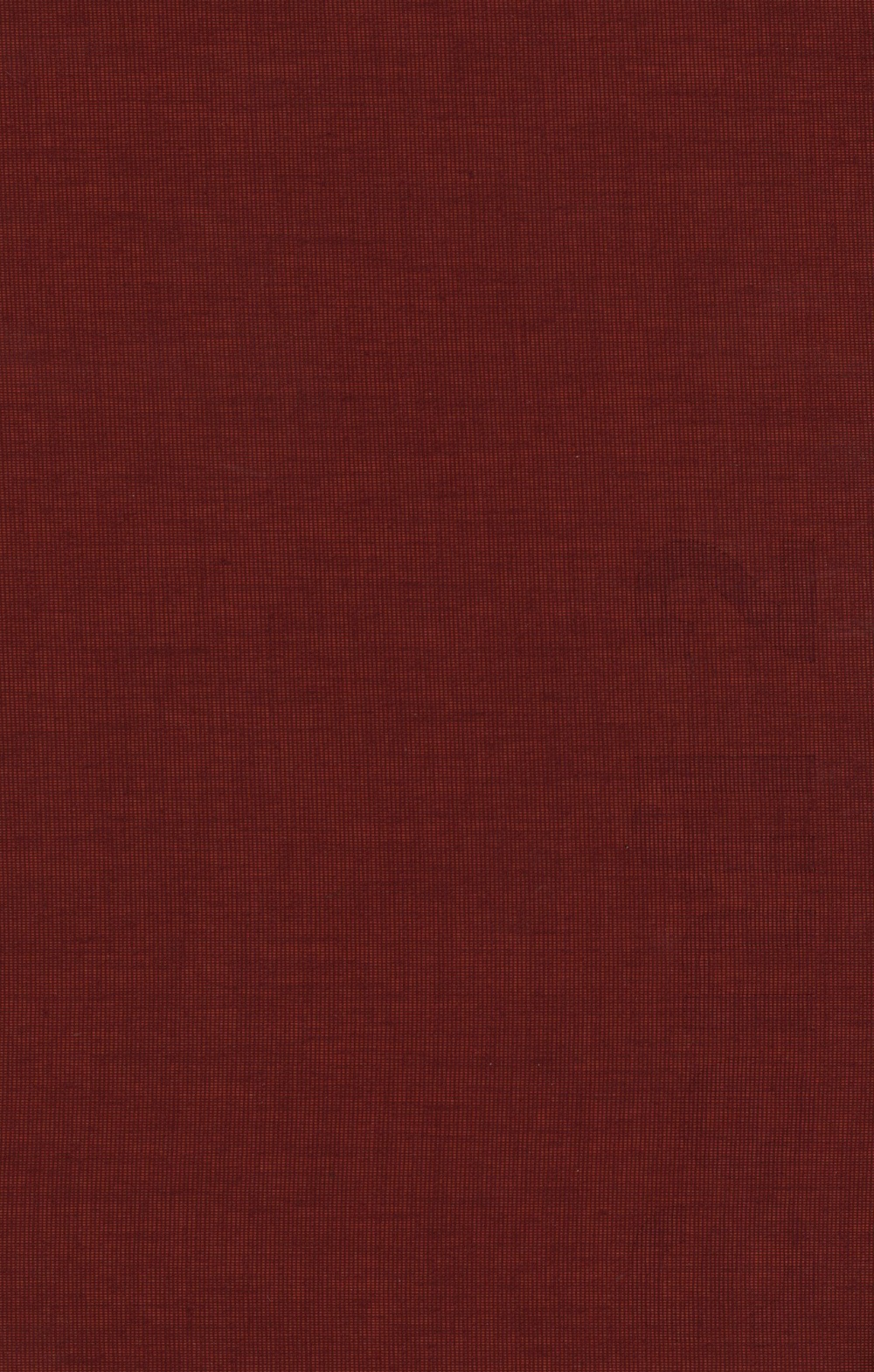 Cover Senfl-Studien 2