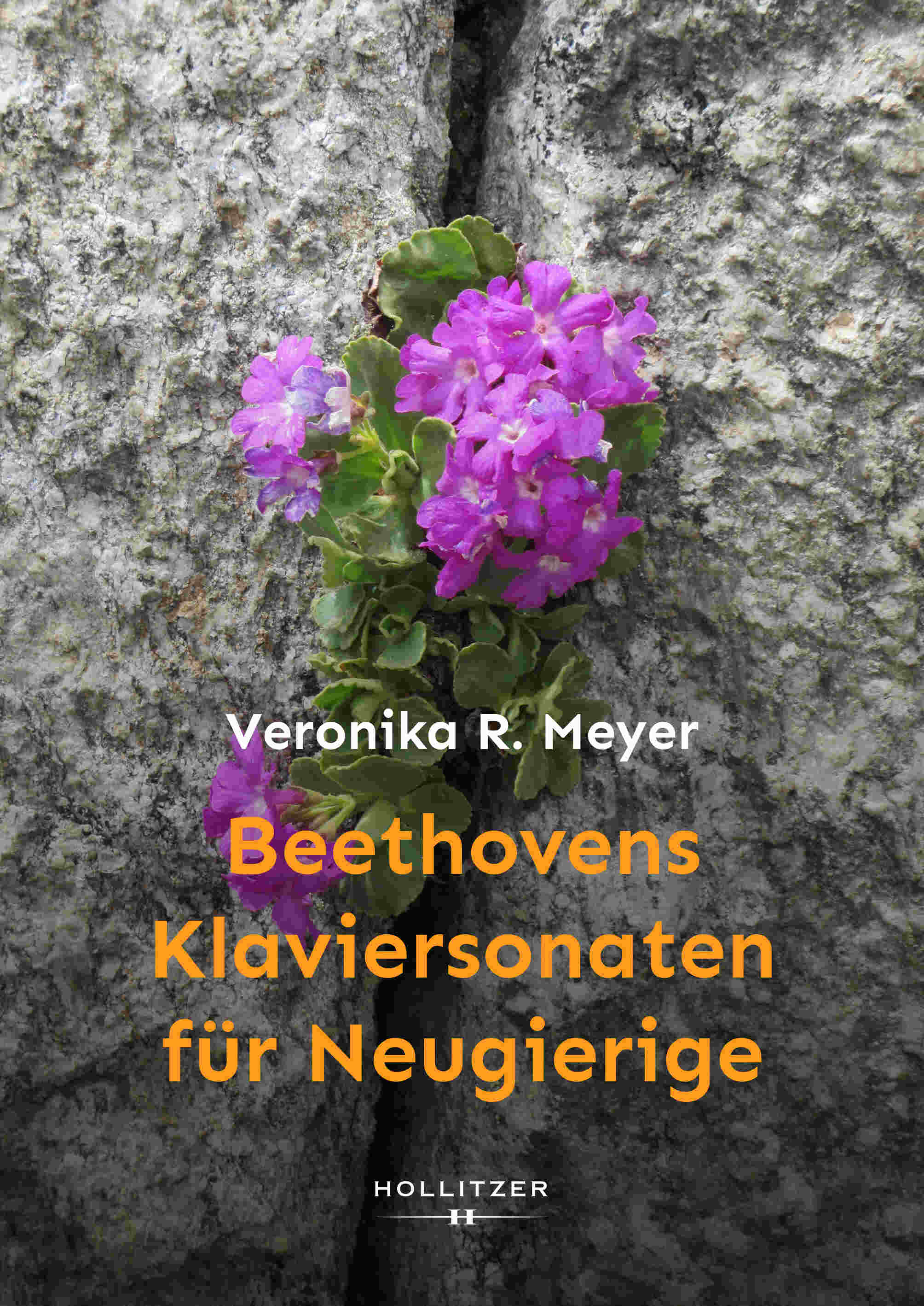Cover Beethovens Klaviersonaten für Neugierige Cover Beethovens Klaviersonaten für Neugierige