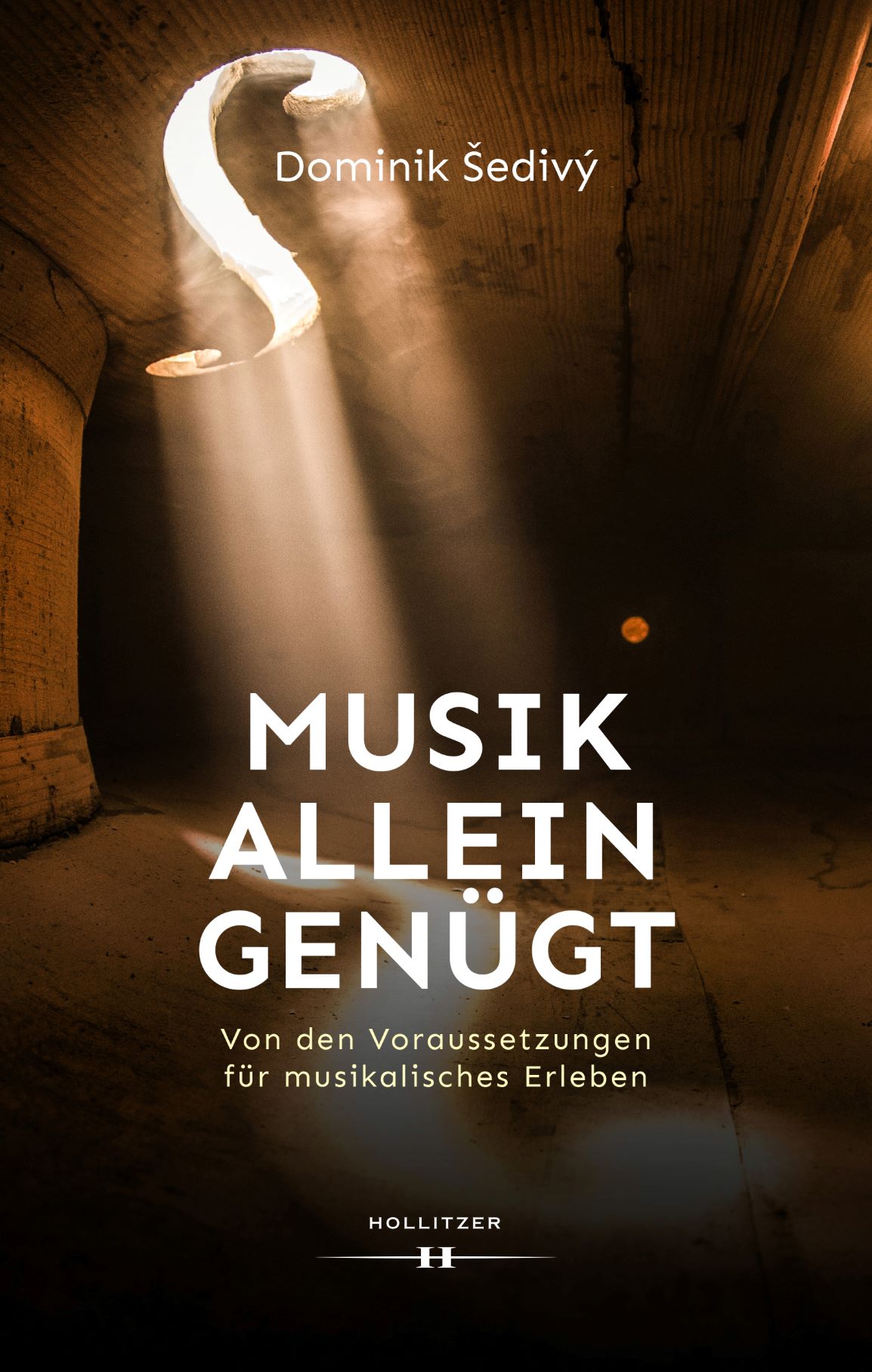 Cover Musik allein genügt